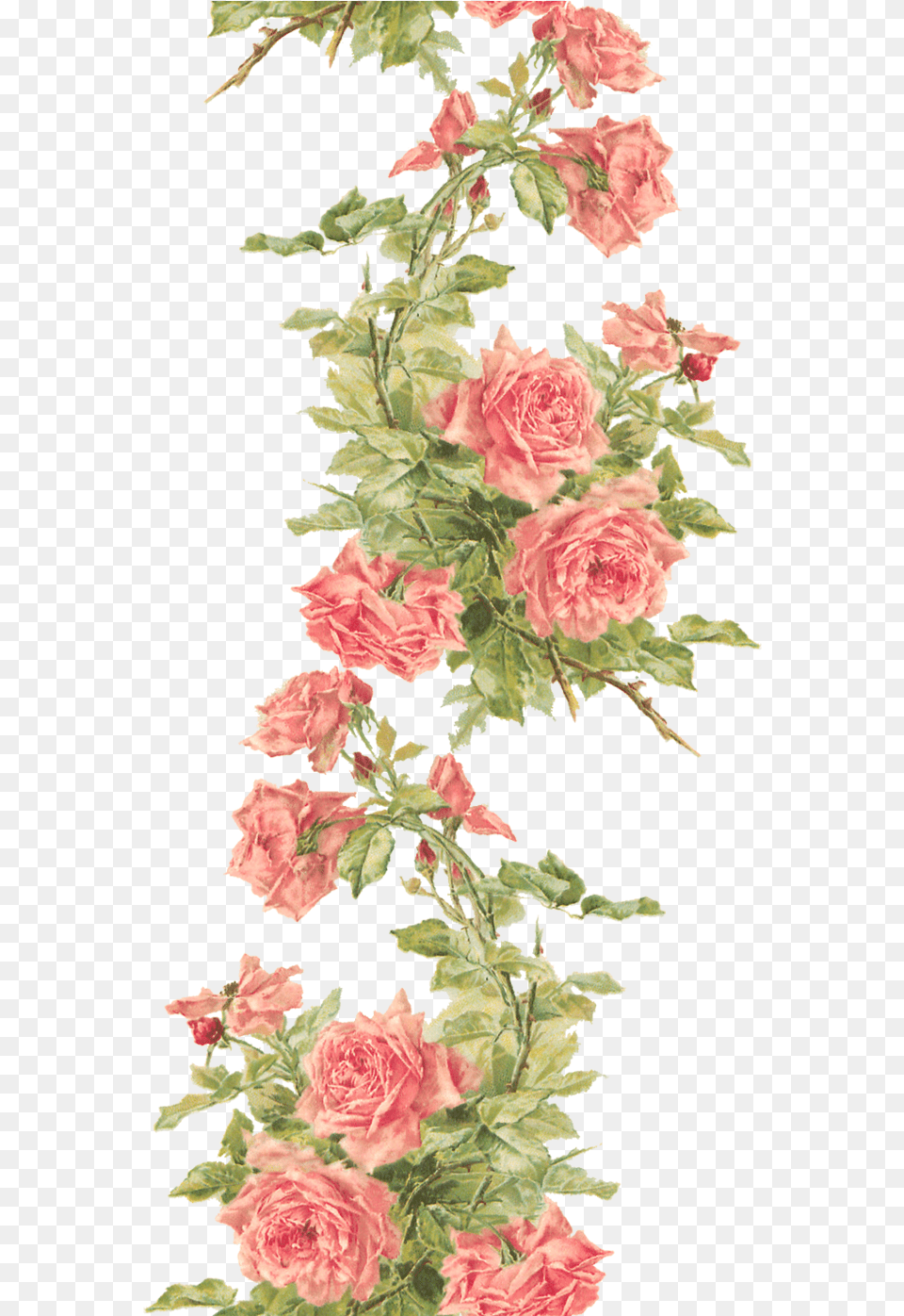 Remember It Is So You Need To Keep All The Air Flower Border No Background, Plant, Art, Floral Design, Graphics Free Png