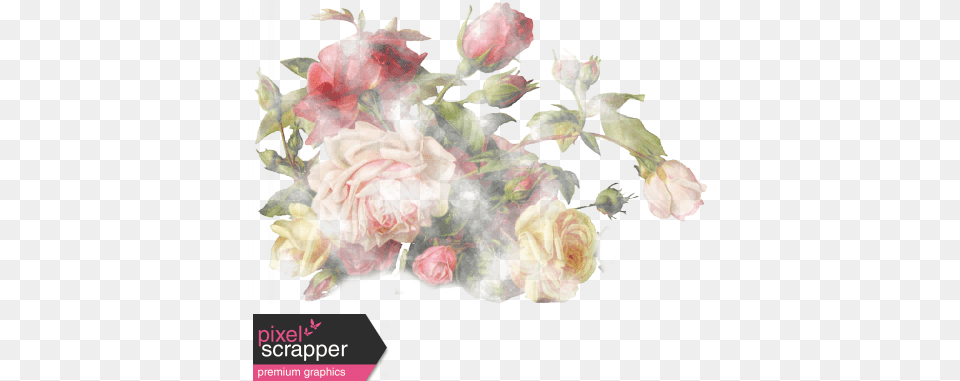 Rememberance Elements Kit Watercolor Roses Graphic By Garden Roses, Art, Plant, Graphics, Flower Bouquet Free Transparent Png