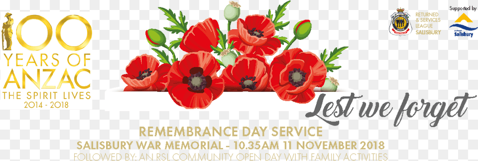 Remembrance Day Discover Salisbury Banner Remembrance Day 11th November Australia, Advertisement, Flower, Plant, Poster Free Png Download