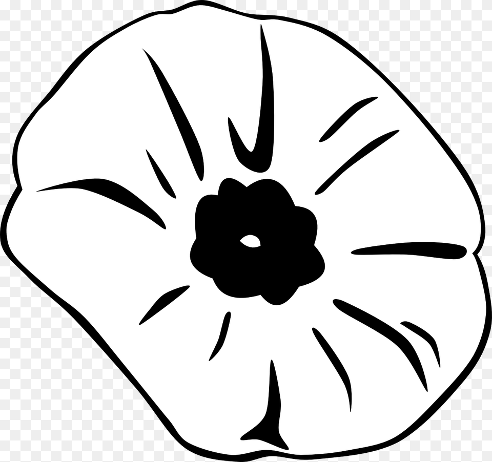 Remembrance Day Poppy Black And White, Flower, Petal, Plant, Animal Free Png