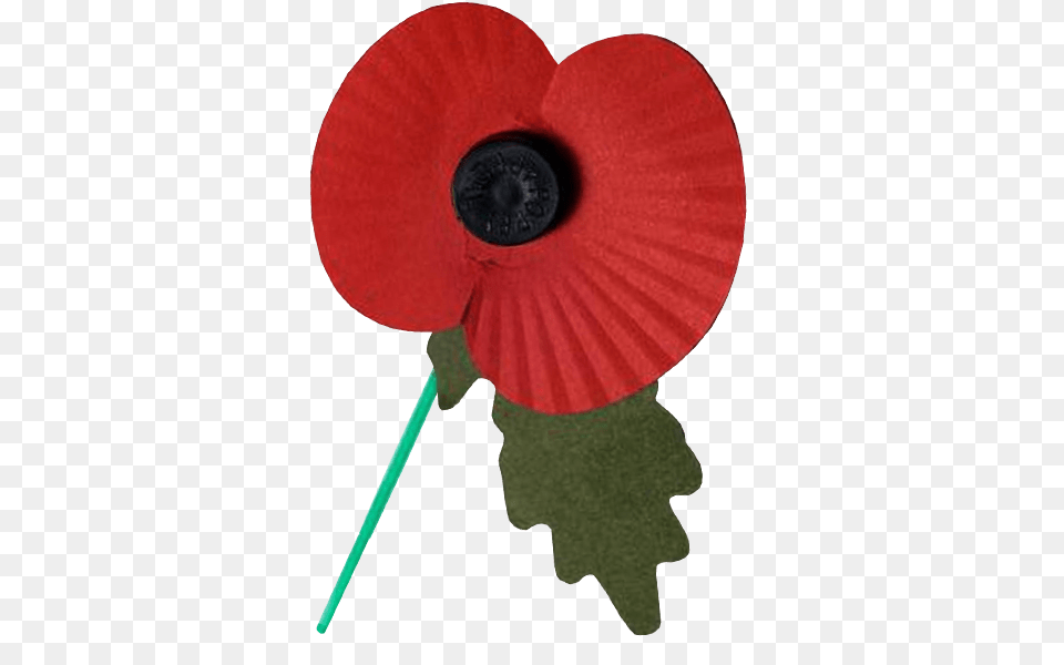 Remembrance Day Poppy Transparent, Flower, Plant Free Png