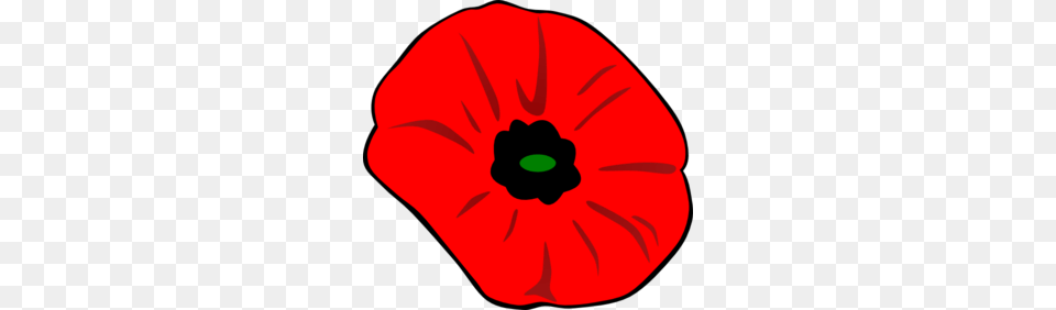 Remembrance Day Poppy With Green For Hope Clip Art, Flower, Petal, Plant, Food Free Png Download