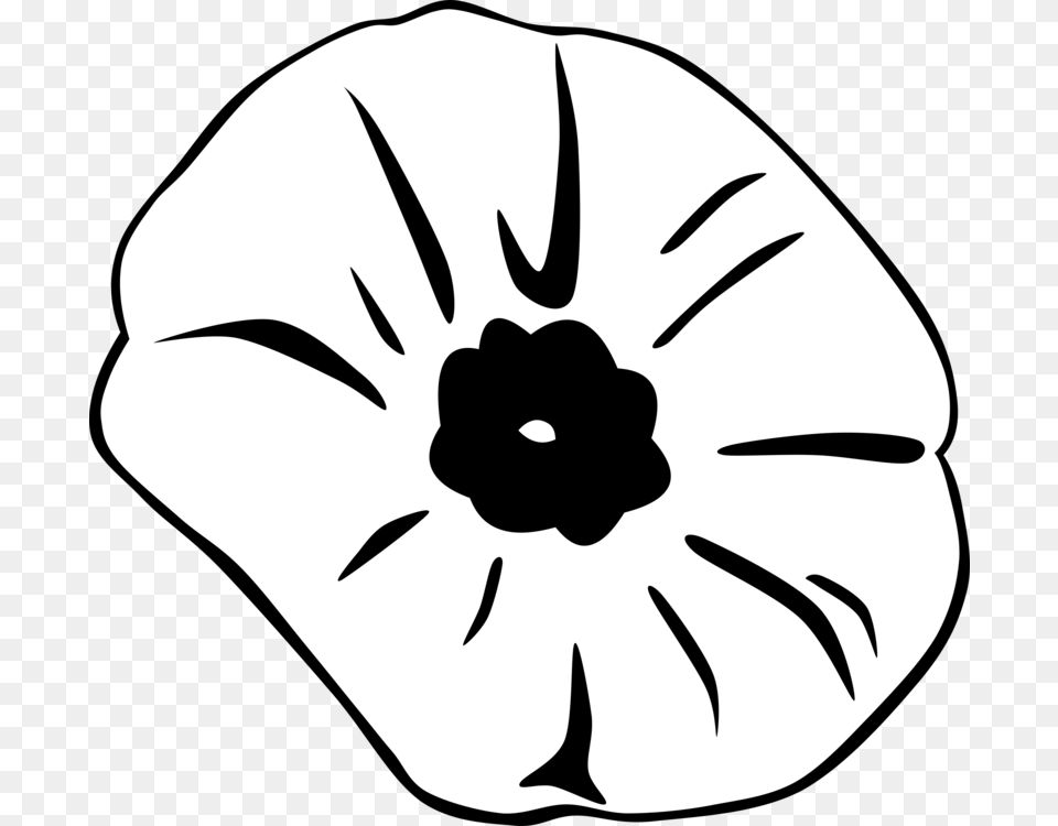 Remembrance Poppy Armistice Day White Poppy Memorial Day Free, Flower, Petal, Plant, Face Png Image