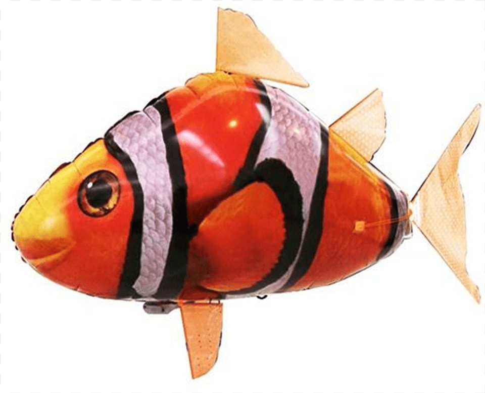 Remote Control Flying Fish Air Shark Clown Fishclass Flying Balloon Fish Toy In Shopee, Animal, Sea Life, Amphiprion Free Png Download
