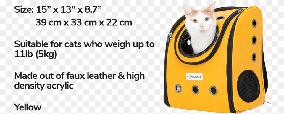 Removable Mat Easy Cleaning Cat Backpack Pioneer Explorer Squitten, Electronics, Speaker, Animal, Mammal Free Png Download