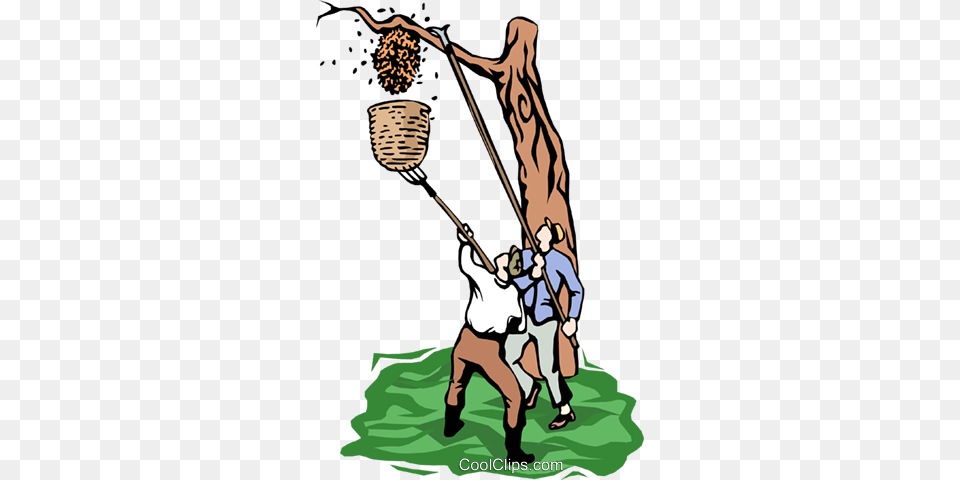 Removing A Hornets Nest Royalty Vector Clip Art Illustration, Person, Cleaning, Outdoors, People Free Transparent Png