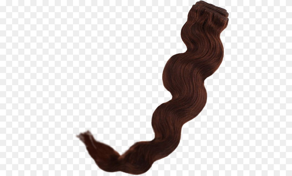 Remy Real Curly Human Hair Body Wave The Cutting Box Bocking Wig, Person, Wood Free Transparent Png