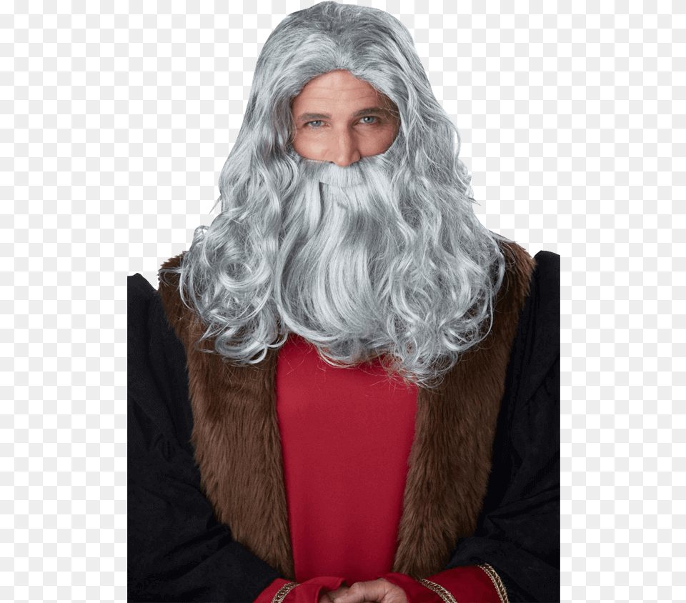 Renaissance Man Wig And Beard Leonardo Da Vinci Beard, Adult, Face, Female, Head Free Transparent Png