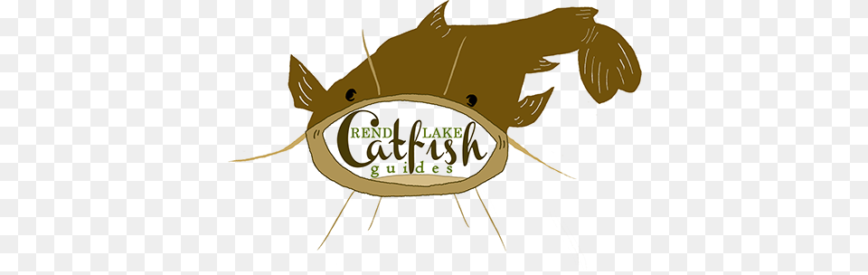 Rend Lake Catfish Guides Catfish, Animal, Sea Life, Fish, Person Free Png Download