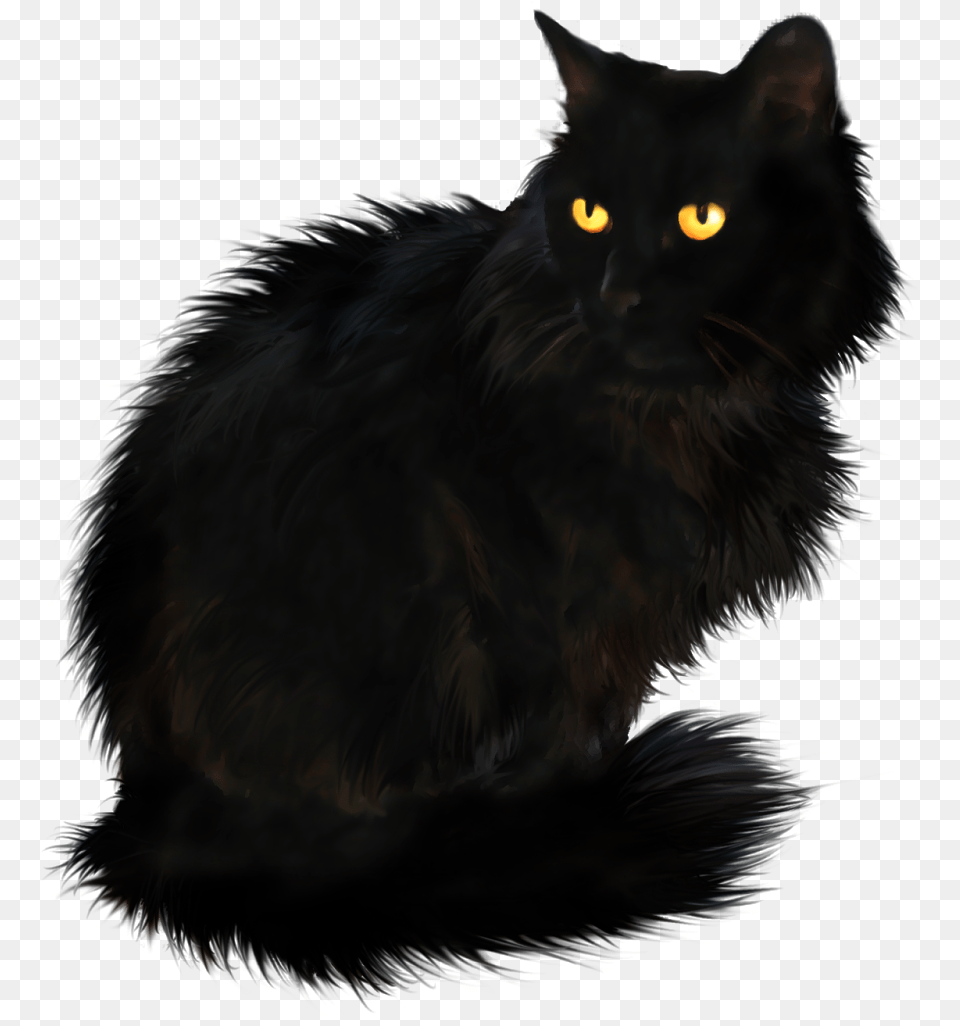 Render De Um Gato Preto Black Cat, Animal, Black Cat, Mammal, Pet Free Png