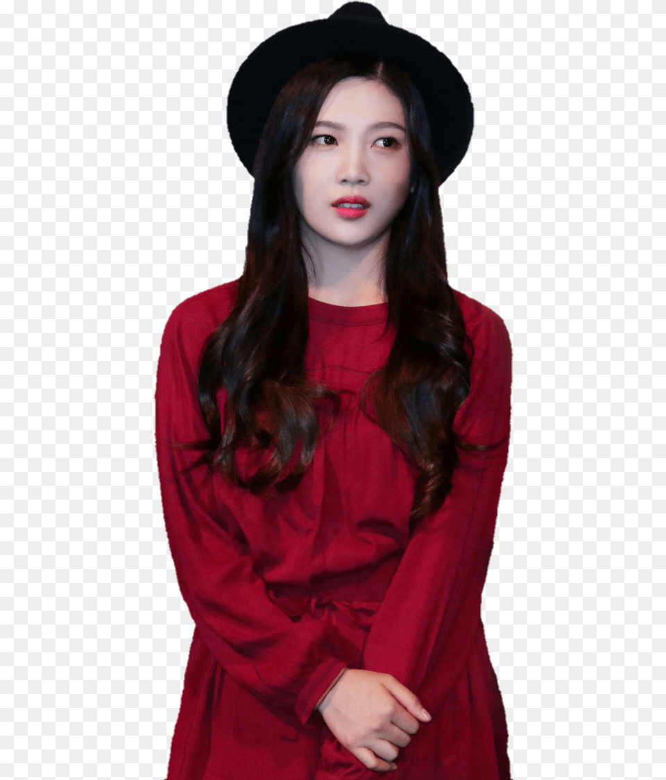 Render Park Soo Young Red Velvet Park Sooyoung, Sleeve, Clothing, Portrait, Face Free Transparent Png
