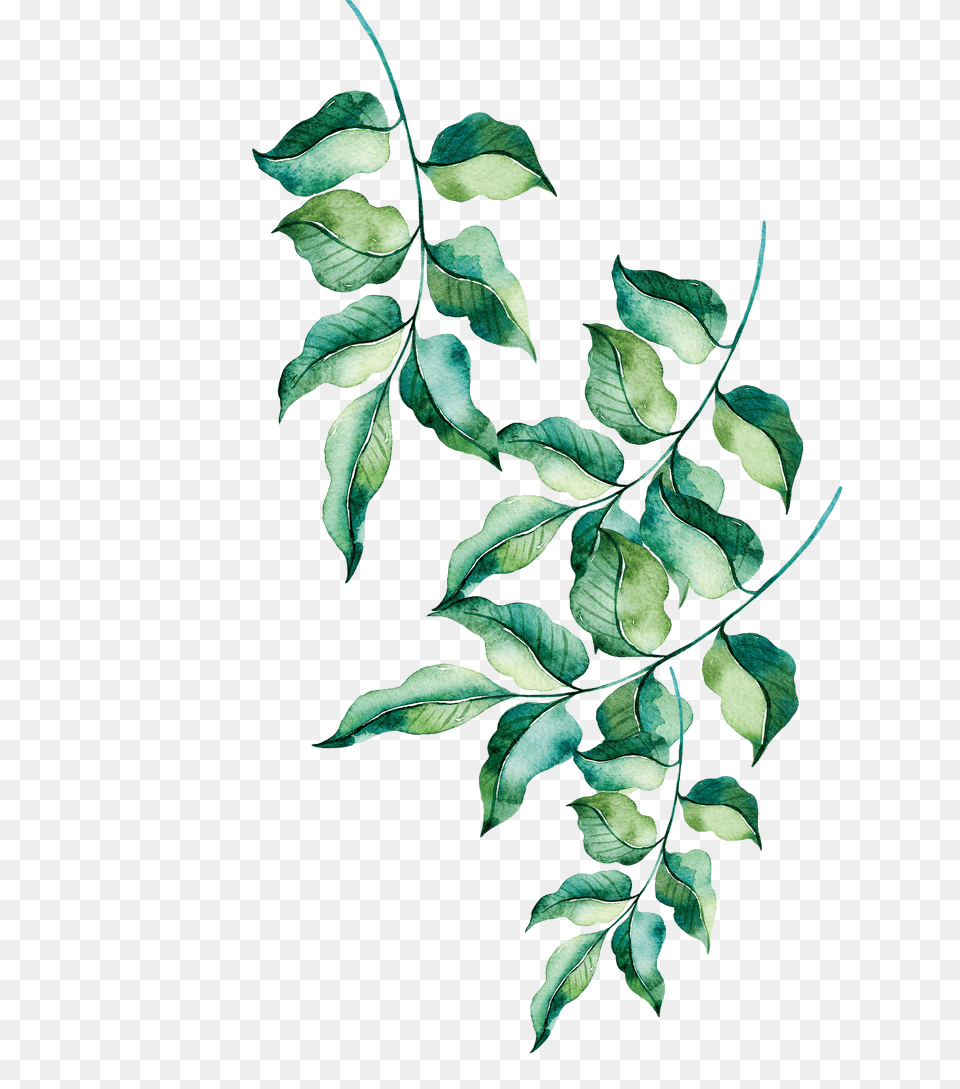 Render Ramas Hoojas, Leaf, Plant, Art, Pattern Free Png Download