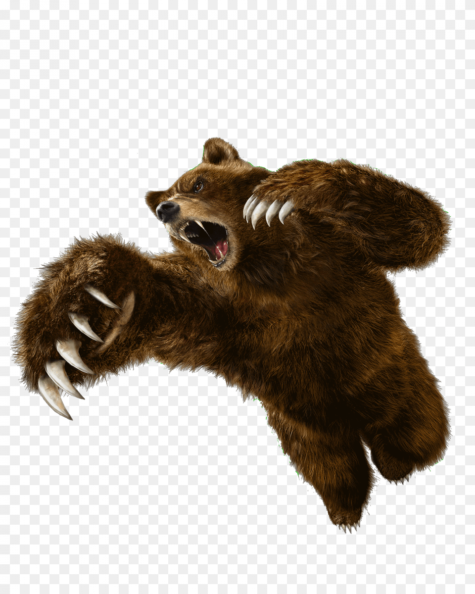 Render Tekken O Tekken 6 Kuma, Animal, Bear, Electronics, Hardware Free Png Download