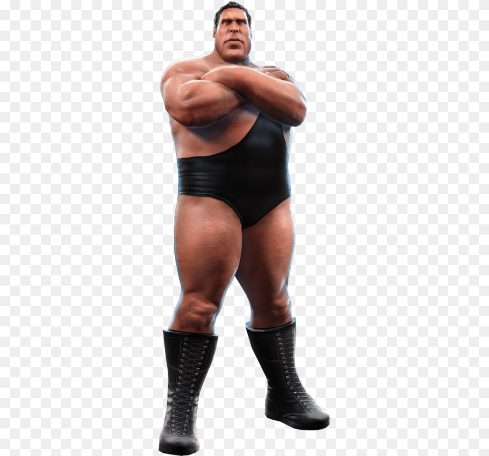 Renders U0026 Superstar Models Wwe All Stars Images Andre The Giant, Adult, Woman, Female, Person Png