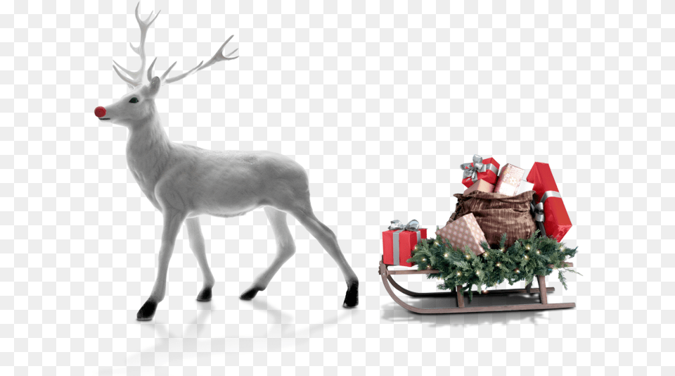 Reno De Navidad Blanco, Animal, Antelope, Deer, Mammal Png Image