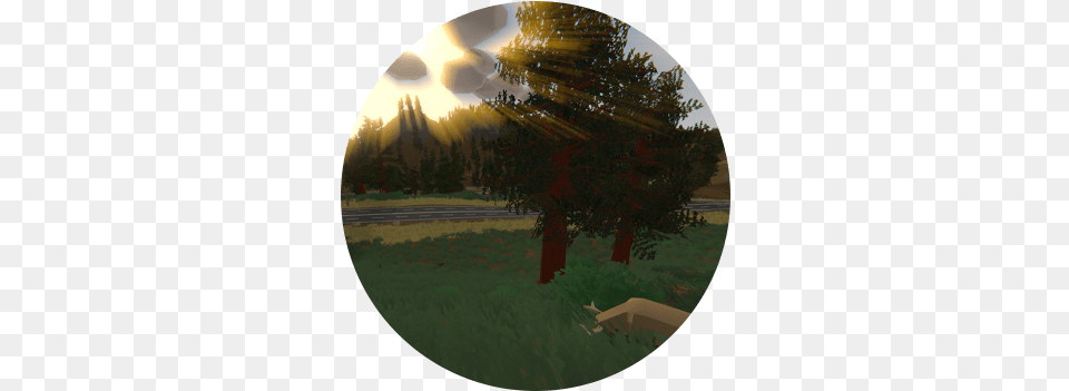 Rent Unturned Server Hosting Temperate Broadleaf And Mixed Forest, Photography, Tree, Sunlight, Sphere Free Png