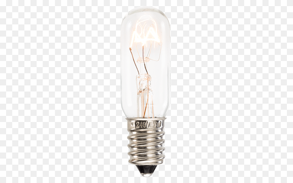 Replacement 15w Light Bulb Incandescent Light Bulb, Lightbulb Free Png Download