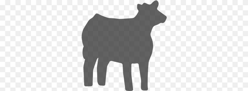 Replacement Heifers Cow Calf Operation, Silhouette, Animal, Mammal, Cat Png Image