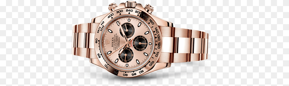 Replica Rolex Cosmograph Daytona Watch 18 Ct Everose Gold Rolex Datona Transparent, Arm, Body Part, Person, Wristwatch Free Png Download