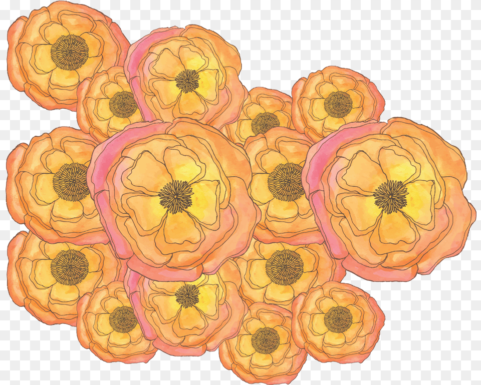 Replies 0 Retweets 0 Likes, Pattern, Flower, Plant, Rose Png Image