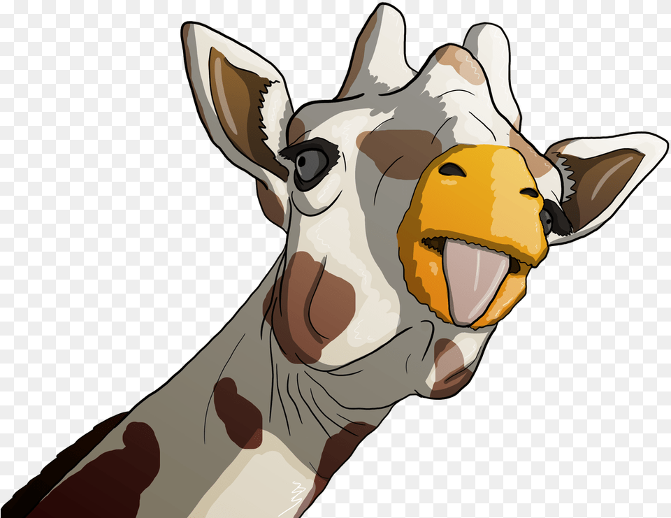 Replies 0 Retweets 0 Likes Giraffe, Person, Animal, Mammal, Wildlife Png