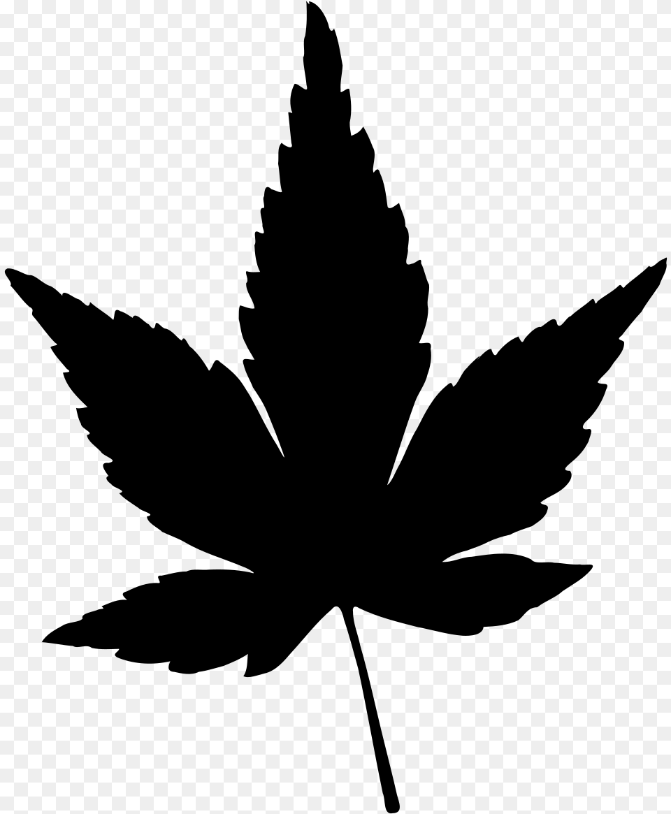 Replies 0 Retweets 0 Likes Japanese Maple Leaf Silhouette, Gray Free Png
