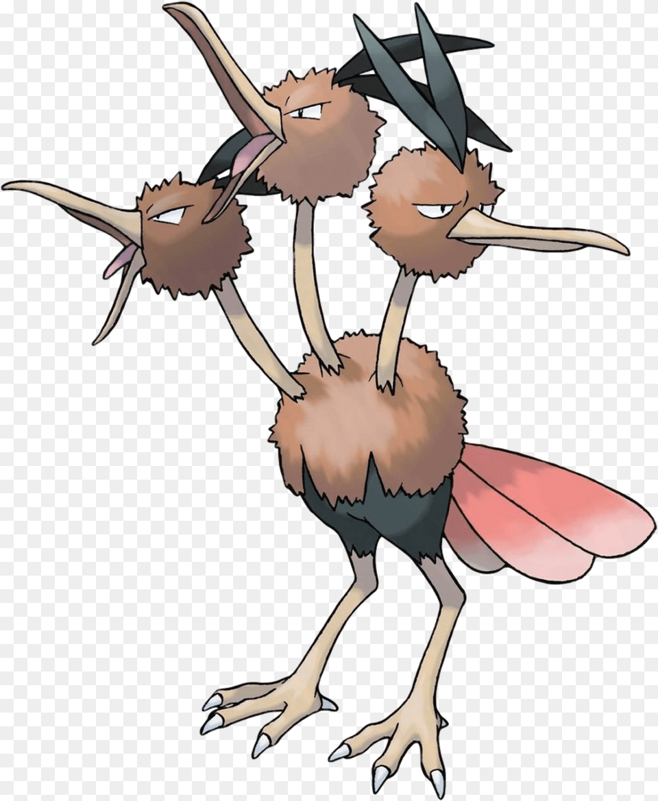 Replies 0 Retweets 3 Likes Dodrio, Animal, Beak, Bird, Person Png