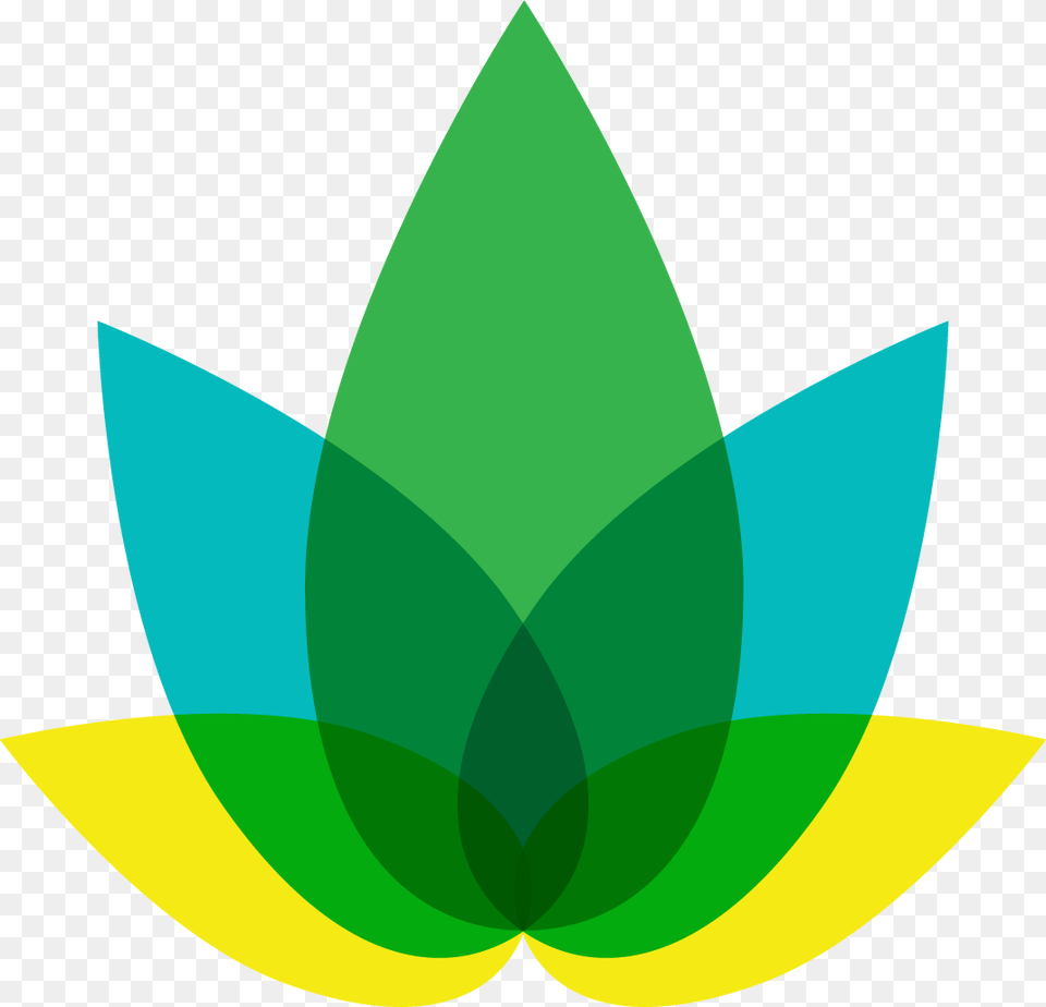 Replies 1 Retweet 2 Likes Graphic Design, Green, Leaf, Plant, Animal Png