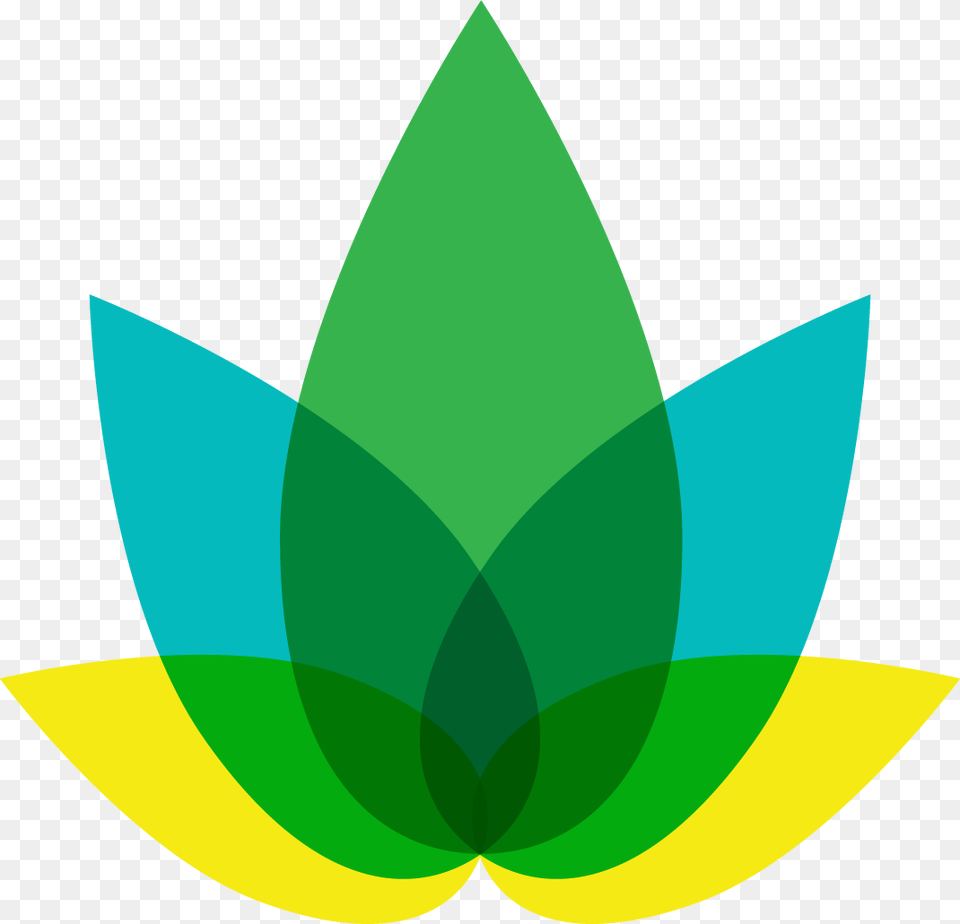 Replies 1 Retweet 2 Likes Graphic Design, Green, Leaf, Plant, Animal Free Png Download