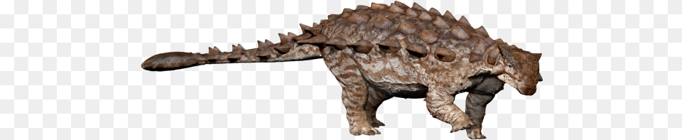 Replies 3 Retweets 9 Likes Jinyunpelta, Animal, Lizard, Reptile, Dinosaur Free Png