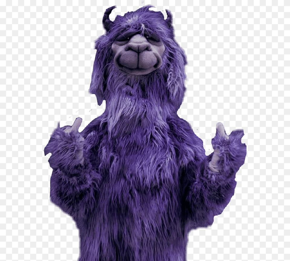 Report Abuse Fall Out Boy Mania Furry, Purple, Teddy Bear, Toy Png
