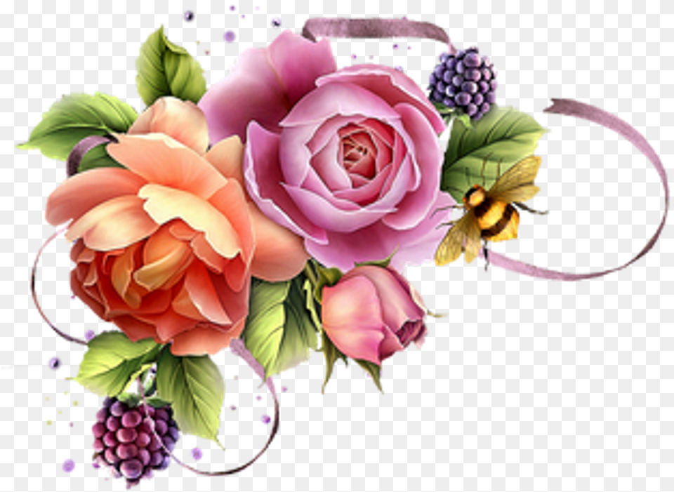 Report Abuse Flower Images With Transparent Background, Rose, Plant, Pattern, Graphics Free Png Download