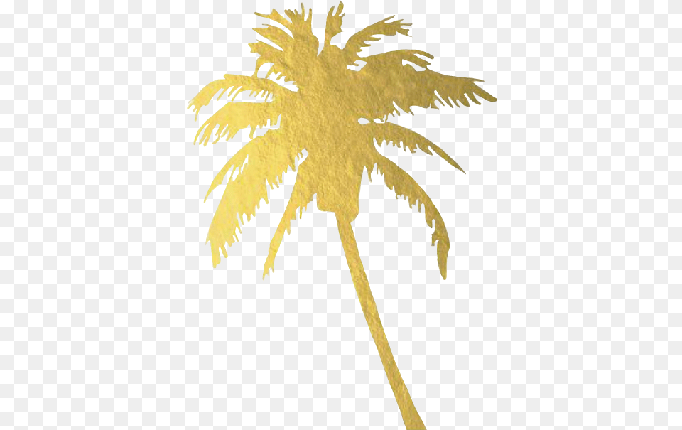 Report Abuse Gold Palm Tree Full Size Download Gold Palm Trees, Palm Tree, Plant, Animal, Bird Free Transparent Png