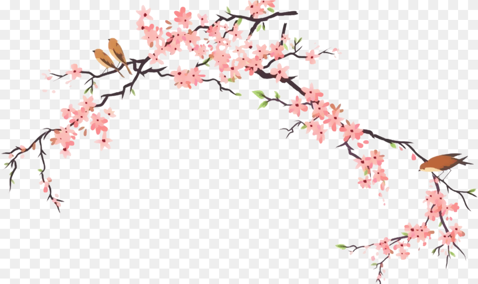 Report Abuse Japanese Cherry Blossom Drawings, Flower, Plant, Cherry Blossom, Animal Free Transparent Png