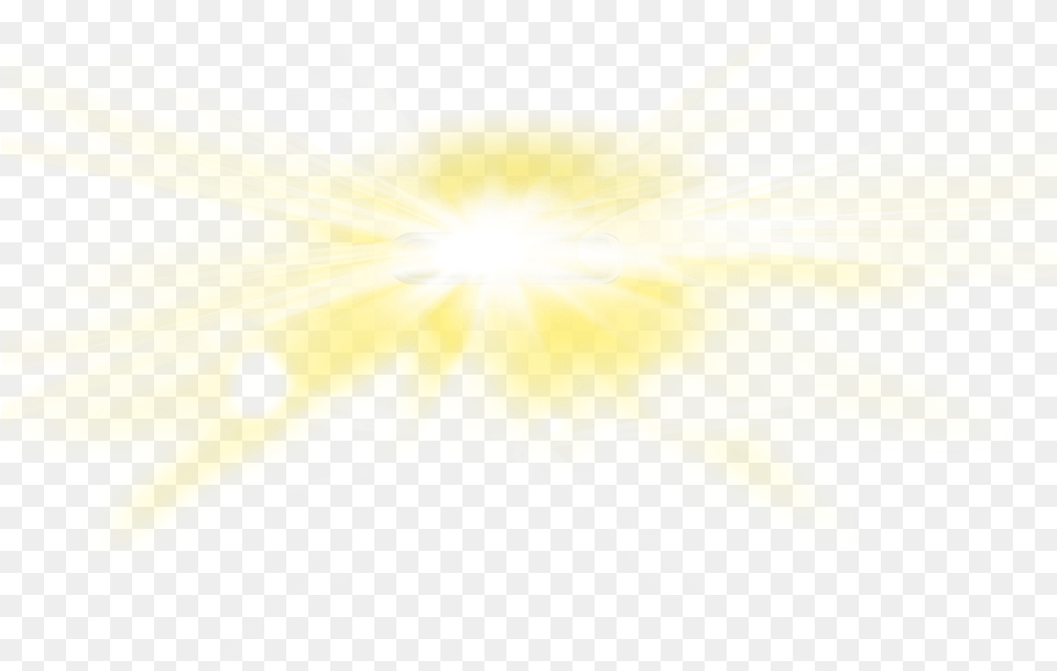 Report Abuse Light, Sunlight, Flare, Plant, Flower Png Image