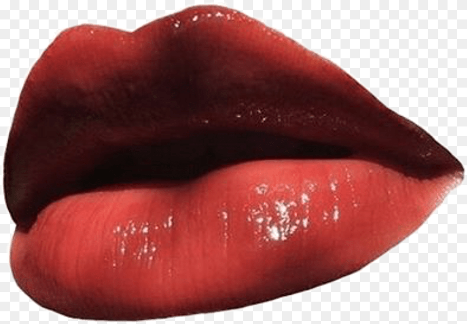 Report Abuse Lip Gloss, Body Part, Mouth, Person, Food Free Transparent Png