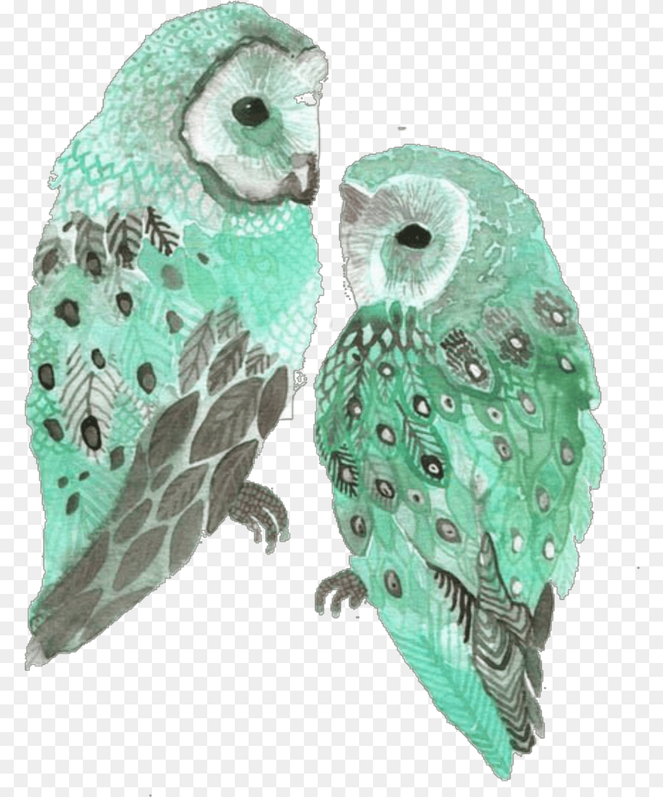 Report Abuse Mint Owl, Animal, Bird Free Png Download