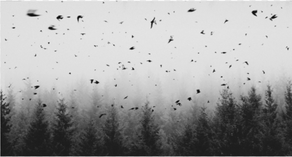 Report Abuse Monochrome, Weather, Outdoors, Nature, Flying Png Image