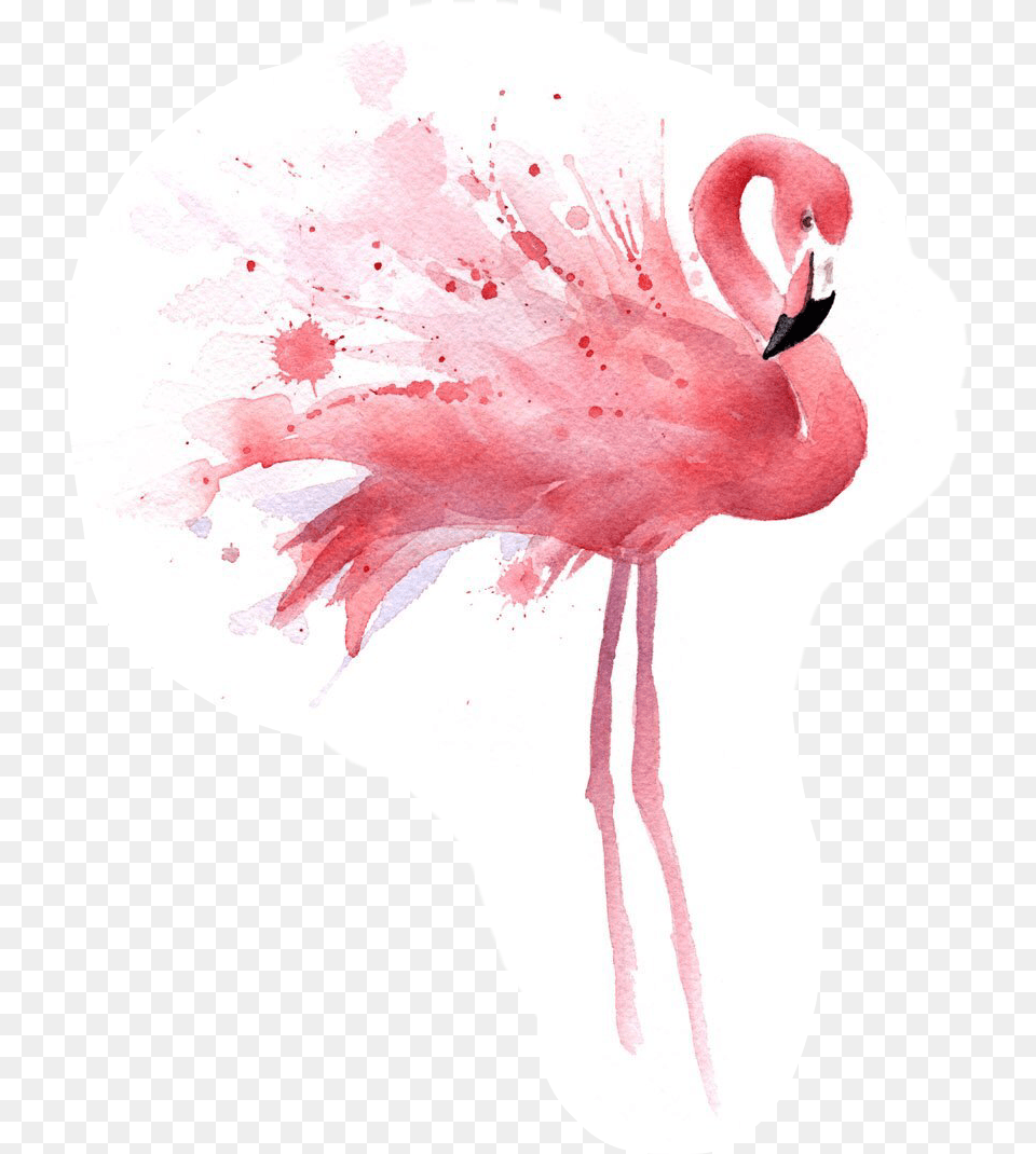 Report Abuse P Monogram Notebook Pink Blue Floral Blank Drawing, Animal, Bird, Flamingo, Person Free Png Download