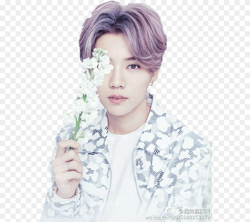 Report Abuse Pastel Luhan Exo, Face, Head, Person, Photography Free Png