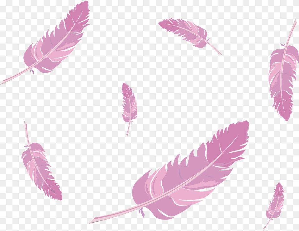 Report Abuse Pink Feathers, Leaf, Plant, Animal, Fish Free Png