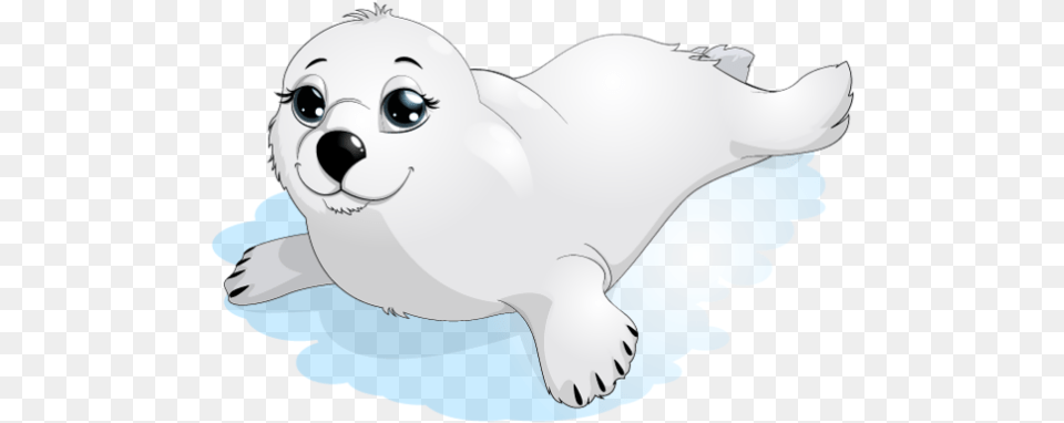 Report Abuse Portable Network Graphics, Animal, Seal, Sea Life, Mammal Free Transparent Png