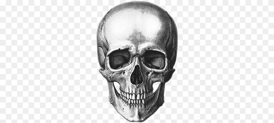 Report Abuse Realistic Pirate Skull Drawing, Clothing, Hardhat, Helmet, Head Png