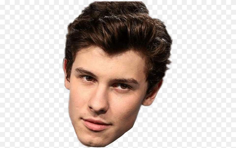 Report Abuse Shawn Mendes Head, Adult, Face, Male, Man Png