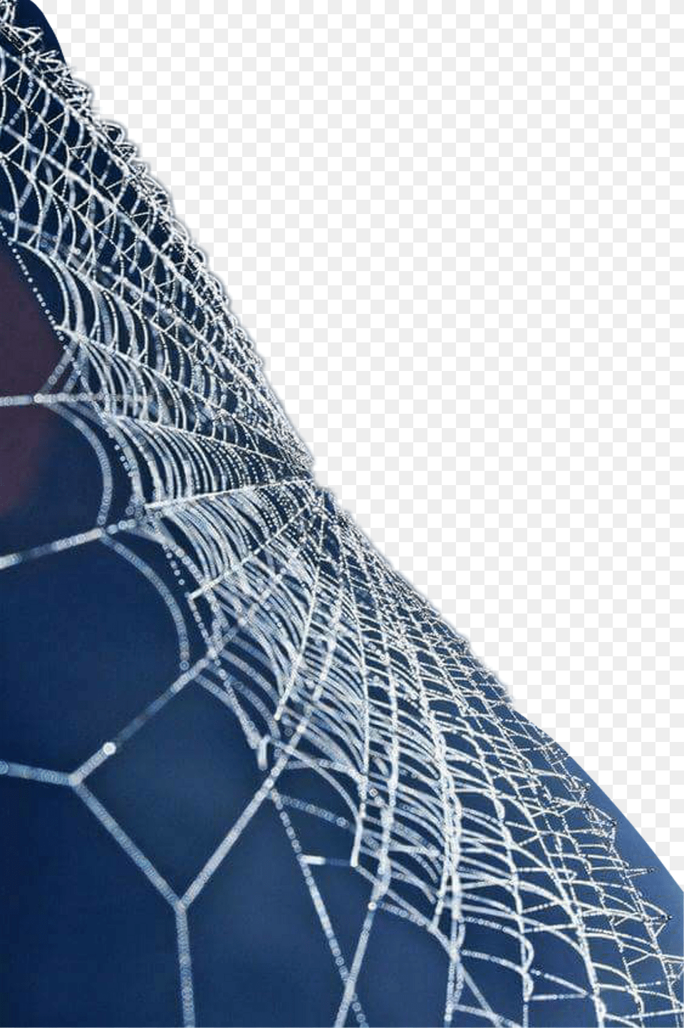 Report Abuse Spider Web, Spider Web, Person Png