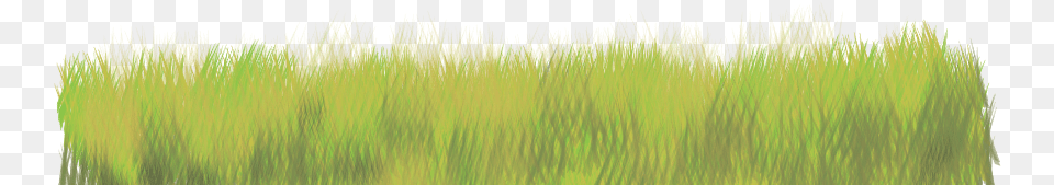 Report Abuse Sweet Grass, Green, Plant, Vegetation, Reed Free Transparent Png