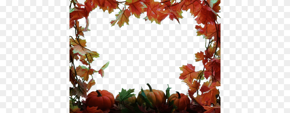 Report Abuse Thanksgiving Backgrounds, Leaf, Maple, Plant, Tree Png Image