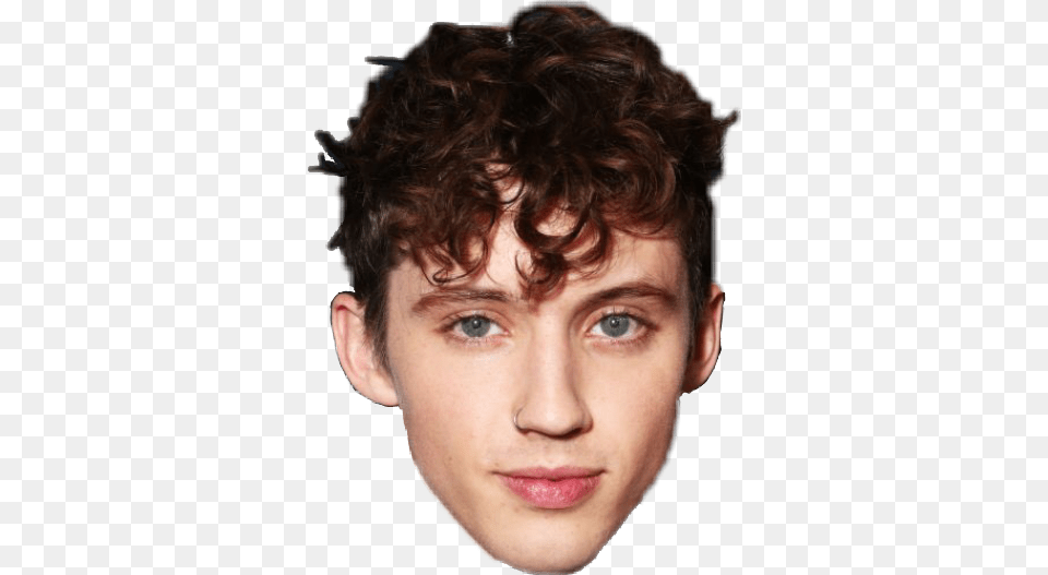 Report Abuse Troye Sivan Face, Adult, Head, Male, Man Free Png Download