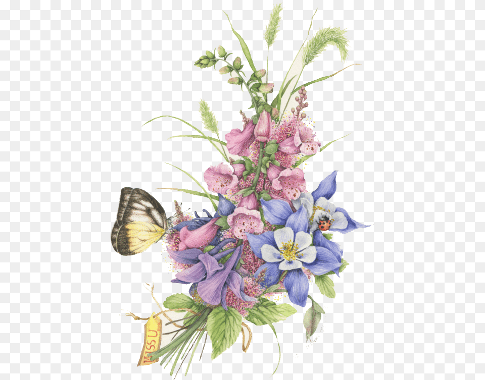 Report Abuse Watercolor Painting, Art, Floral Design, Flower, Flower Arrangement Png Image
