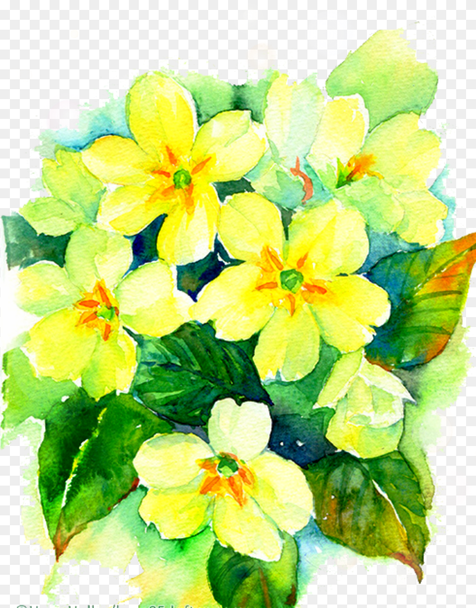 Report Abuse Watercolor Painting, Plant, Art, Petal, Floral Design Free Png Download